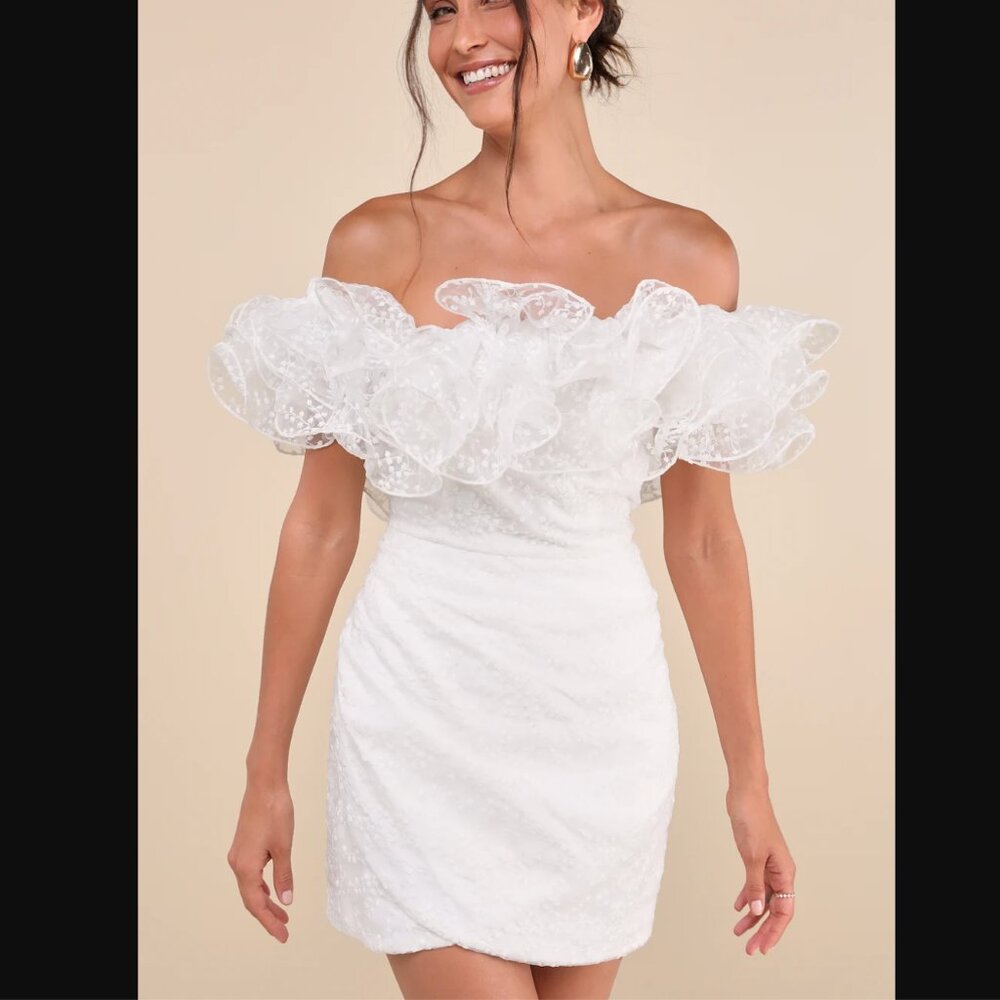 NWT XS Lulu's Embroidered Ruffled Mini Dress - Picture 2 of 8